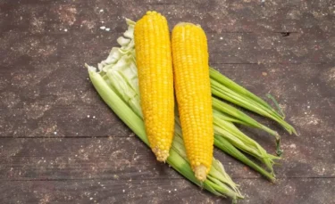 yellow corns