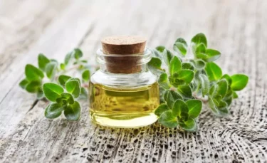 oregano oil