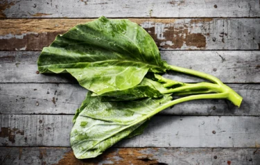 collard green