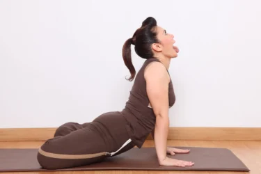 simha mudra (lion gesture)