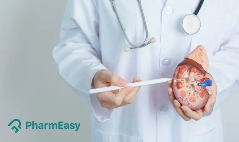 What Are Kidney Stone Symptoms, Causes, and Treatments